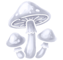 Glyph of Mycelium